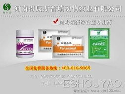 深耕禽藥市場，把握代理機遇 從鴨藥到品牌的全方位指南